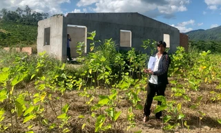 Bắt đối tượng tháo dỡ nhà hàng xóm bán sắt vụn