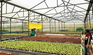 Triển khai hiệu quả nhiều chương trình hỗ trợ người nghèo ở Đức Trọng