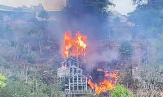 Đà Lạt: Đốt cỏ trong vườn làm cháy lan hơn 1.000m2