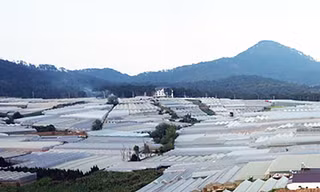 Ngưng thu hồi 410 thửa đất liên quan dự án dân cư lớn nhất Đà Lạt