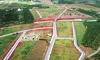 Phân lô trái phép băm nát đồi chè