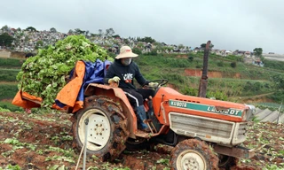  Dùng xe máy cày chở rau đi đổ