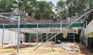 Đà Lạt tháo dỡ 72ha nhà kính, trả lại mảng xanh cho thành phố trong rừng