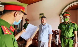 Tàng trữ lâm sản trái phép, một giám đốc ở Lâm Đồng bị khởi tố