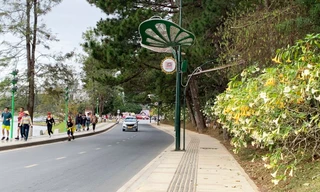 Lâm Đồng thúc tiến độ dự án mở rộng đường ven hồ Xuân Hương 