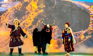 Điệu nhảy Jabro Dance cuốn hút của Ấn Độ tại phố núi Đà Lạt 