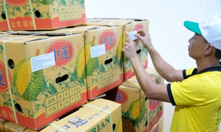 Xuất khẩu sầu riêng Lâm Đồng, Đắk Nông sang thị trường lớn nhất thế giới