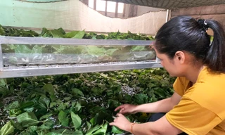 Huyện nghèo nhất tỉnh Lâm Đồng với chương trình giảm nghèo bền vững