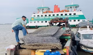 Lại xảy ra mất trộm tại dự án chống ngập 10.000 tỷ