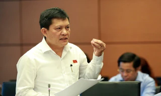 Đại biểu Quốc hội Phạm Phú Quốc, Tổng Giám đốc công ty TNHH Một Thành viên Phát triển công nghiệp Tân Thuận bị kỷ luật khiển trách vào năm 2018. Ông Quốc bị phát hiện có Quốc tịch Cộng hòa Síp mà không báo cáo tổ chức. 