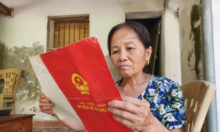 Vụ góa phụ nghèo có nguy cơ mất đất: Cấp trên chỉ đạo, cấp dưới "phớt lờ"?