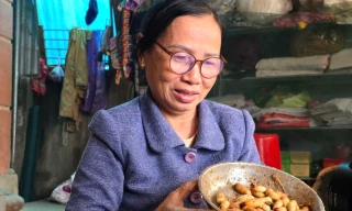 Bà giáo người Thái kiếm nửa triệu mỗi ngày từ nuôi côn trùng đặc sản