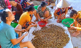 'Lộc trời' trong rừng giúp người dân huyện miền núi thoát nghèo