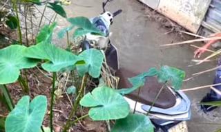 Đi cưới bạn rồi mất tích, nam thanh niên được tìm thấy ở mương nước cầu vượt