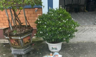 Bé gái sơ sinh bị bỏ rơi trước cổng nhà vợ chồng hiếm muộn