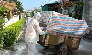 8 tháng, Nghệ An xảy ra 153 ổ dịch tả lợn Châu Phi