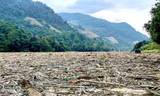 Lượng rác 'khổng lồ' phủ kín lòng sông ở Nghệ An