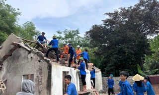 Tuổi trẻ Nghệ An giúp lực lượng thi công đường điện 500kV