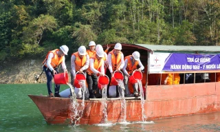 Thả 5 vạn cá giống xuống lòng hồ Thủy điện Bản Vẽ để tái tạo nguồn lợi thủy sản