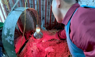 Thu tiền tỷ nhờ nghề nuôi con 'thần dược'