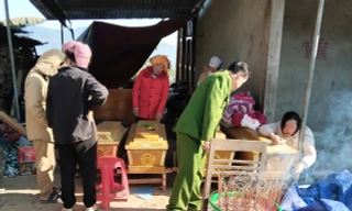 Vụ tai nạn 6 người tử vong tại Nghệ An: Xe tải vừa được mua lại hơn 10 ngày trước