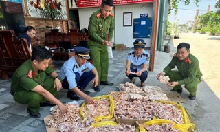 Phát hiện gần nửa tấn chân gà, đuôi lợn không rõ nguồn gốc ở cơ sở thực phẩm sạch