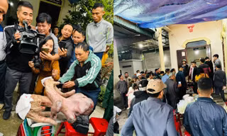 Người dân đổ xô đến xem cặp nhung nai ‘khủng' nặng gần 9kg, bán giá 50 triệu đồng