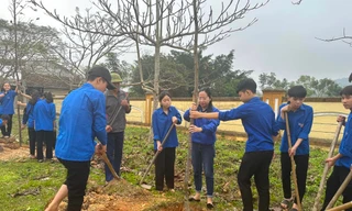 Trồng gần 5.000 gốc tre chống sạt lở ven sông Lam