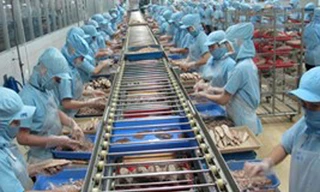 Kim ngạch xuất khẩu có thể đạt 133 tỷ USD