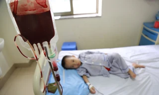 Bác sĩ chỉ cách tránh cho con bạn không bị bệnh tan máu bẩm sinh Thalassemia