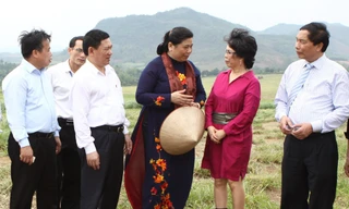 Hạn chế phụ thuộc vào sữa nhập khẩu