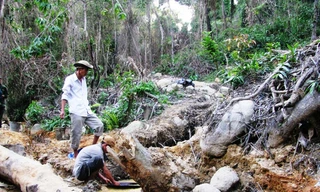 Đình chỉ trưởng công an xã hành hung 2 phóng viên