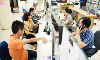 Cần Thơ lập đề án tư vấn việc làm cho cán bộ, công chức, viên chức sau sắp xếp