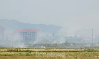 Huế mạnh tay xử phạt hành vi đốt rơm rạ sau thu hoạch lúa gây ô nhiễm môi trường