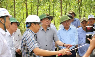 Bí thư, Chủ tịch tỉnh Bình Định khảo sát tiềm năng núi Vũng Chua