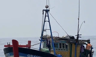 Quảng Trị: Bắt giữ hai tàu cá đánh bắt thủy sản trái phép