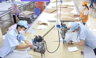 Chính phủ cần có chính sách hỗ trợ DN đầu tư nghiên cứu, phát triển, ứng dụng khoa học công nghệ