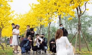 ‘Con đường vàng’ khiến giới trẻ mê mẩn