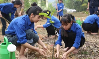 Tết trồng cây 2025: Lan tỏa màu xanh, chào mừng Đại hội Đảng XIV