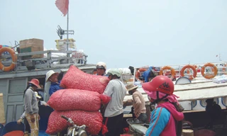 Đảo tỏi nhập... tỏi