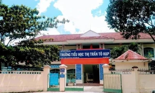 Vụ 29 học sinh nhập viện sau khi ăn cơm cuộn: Phát hiện vi khuẩn trong rong biển