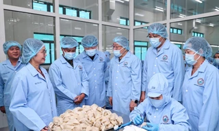 Yến sào Khánh Hòa đã xuất khẩu đến 30 quốc gia trên thế giới