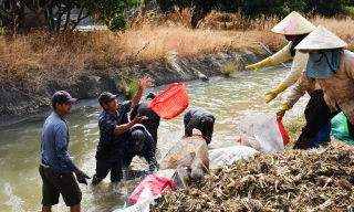 Thức dậy từ 2h sáng rửa kiệu, 'vui như Tết'