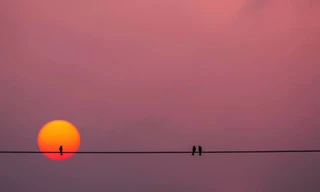 Xuýt xoa bộ ảnh chụp hoàng hôn đẹp như tranh vẽ của sinh viên ĐH Kinh Tế TP.HCM