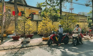 Tết ở đâu cũng là Tết, hãy để Tết này dù khác lạ cũng trở nên thật đáng nhớ trong mỗi chúng ta