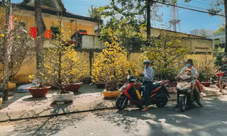 Tết ở đâu cũng là Tết, hãy để Tết này dù khác lạ cũng trở nên thật đáng nhớ trong mỗi chúng ta