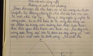 Khi dân chuyên Lý làm Văn: Sóng của Xuân Quỳnh bỗng thành... bài tập dao động sóng cơ