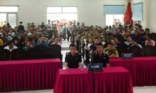 Hai anh em ruột vướng lao lý vì vào rừng lấy gỗ nghiến làm thớt