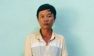 Đối tượng thuê nhóm thanh niên cưa trộm 129 cây gỗ bị bắt giữ