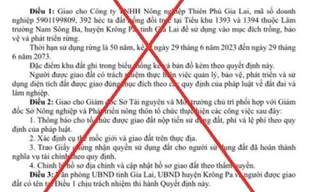 Công an vào cuộc vụ làm giả quyết định giao 392ha đất trồng rừng cho doanh nghiệp